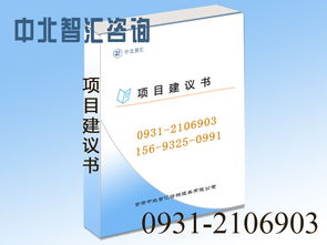 專業項目建議書撰寫與信息咨詢服務——助力蘭州項目順利啟動